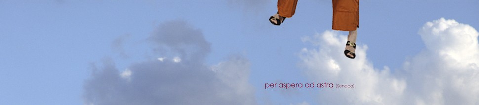 Aneli Fiebach's banner