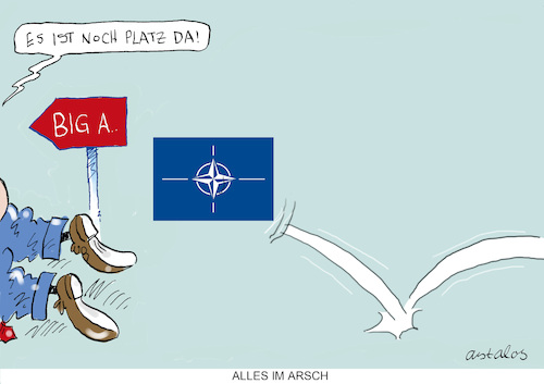Cartoon: Natogipfel (medium) by astaltoons tagged trump,nato,trump,nato