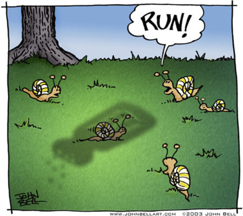 Cartoon: RUN! (medium) by JohnBellArt tagged snail,salt,run,crash,disaster,death,ominous,shadow,shaker,group,nature