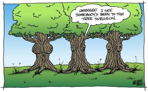 Cartoon: Tree Surgeon (medium) by JohnBellArt tagged tree,surgeon,implant,plant,bark,boobs,breast,enhancement,gossip,envy,nature,natural,fake,plastic,augmentation