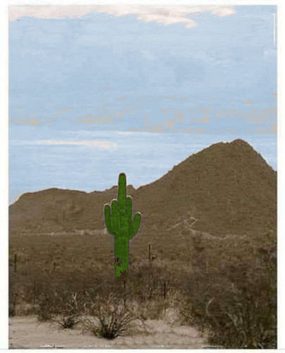 Cartoon: die wüste lebt (medium) by ab tagged wüste,steppe,kakteen,natur,zeichen