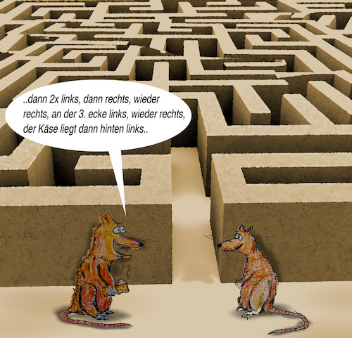 Cartoon: im versuchslabor (medium) by ab tagged labyrinth,ratte,versuch,käse