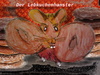 Cartoon: unangenehme weihnachtstiere 2 (small) by ab tagged weihnachten,lebkuchen,hamster