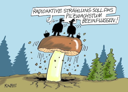 Pilzwachstum