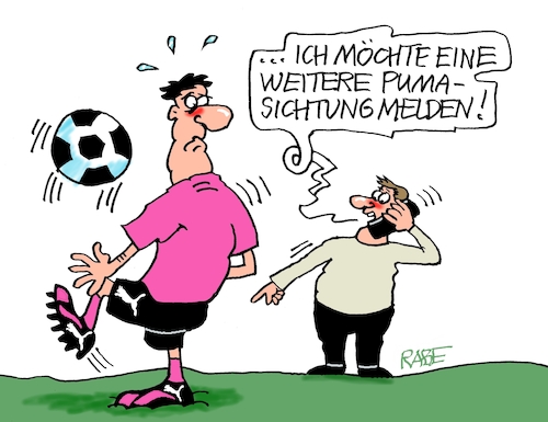 Pumasichtung