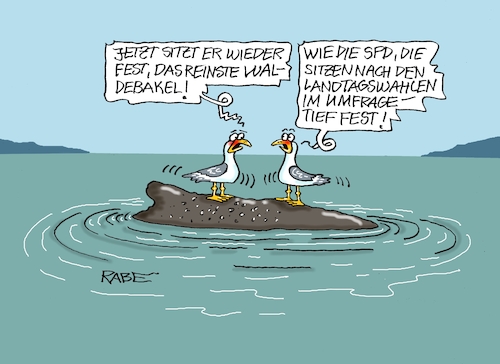 Cartoon: Waldebakel (medium) by RABE tagged merz,kanzler,koalition,union,spd,klingbeil,cartoon,karikatur,pressezeichnung,farbcartoon,tagescartoon,db,bahn,frühling,frühjahr,frühjahrsputz,ice,zug,blumenkasten,blumenkästen,wal,walfisch,ostsee,sandbank,rettungsaktion,möwe,buckelwal,wahldebakel,landtagswahl,umfragetief,wahlergebnis,genosse,tiere,meer,meeressäuger,merz,kanzler,koalition,union,spd,klingbeil,cartoon,karikatur,pressezeichnung,farbcartoon,tagescartoon,db,bahn,frühling,frühjahr,frühjahrsputz,ice,zug,blumenkasten,blumenkästen,wal,walfisch,ostsee,sandbank,rettungsaktion,möwe,buckelwal,wahldebakel,landtagswahl,umfragetief,wahlergebnis,genosse,tiere,meer,meeressäuger