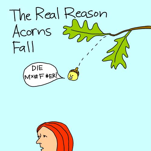 Cartoon: angry acorn (medium) by mfarmand tagged acorn,tree,fall