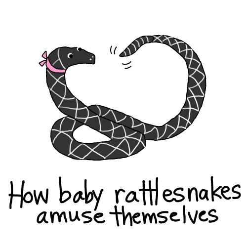 Cartoon: snakes (medium) by mfarmand tagged snake,babysnake,rattlesnake