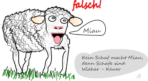 Cartoon: Schaf (medium) by Jochen N tagged tier,schaf,wolle,wiese,wiederkäuer,katze,miau,pferd,wieher