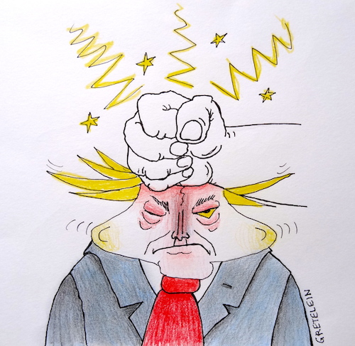 Cartoon: ohne worte (medium) by katzen-gretelein tagged politik,aussenpolitik,trump,die,faust,haut,zu