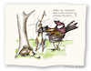 Cartoon: Berufsrisiko (small) by OTTbyrds tagged ostern,easter,eier,eggs,bunny,osterhase,ottbyrds,oddbirds,berufsrisiko,freilaufend
