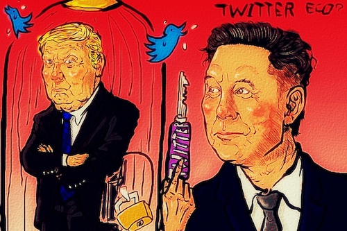 Cartoon: Elon Musk (medium) by takeshioekaki tagged twitter