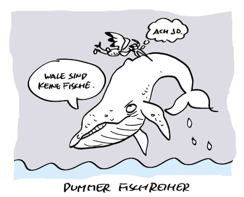 Cartoon: Fehlfang (medium) by Bregenwurst tagged wale,fische,säugetiere,fischreiher