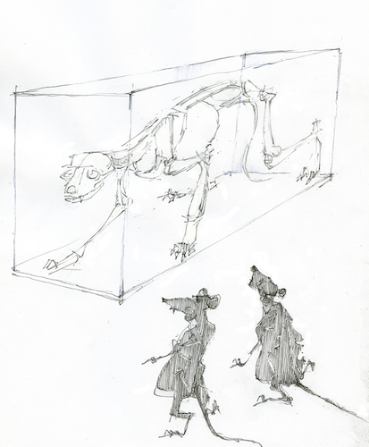 Cartoon: memento mori (medium) by herranderl tagged nachts,im,museum