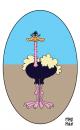 Cartoon: ostrich (small) by madman tagged ostrich,bird,desert