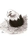 Cartoon: Never Forget! (small) by menekse cam tagged september 11 incubation eagle usa debris keepingwarm attack