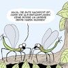 Cartoon: Die Rente ist sicher! (small) by Karsten Schley tagged alter,rente,pensionen,geld,gesellschaft,vorsorge,altersgeld,insekten,natur,tiere
