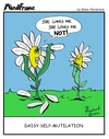 Cartoon: MINDFRAME (small) by Brian Ponshock tagged daisy,flower,heartbreak