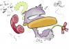 Cartoon: help-line (small) by dan8 tagged duck phone distraction flower