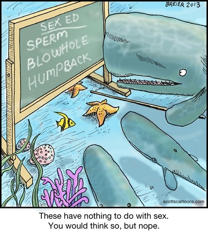 Cartoon: Whale Sex Ed (medium) by noodles tagged spermwhale,ocean,blowhole,humpback,noodles