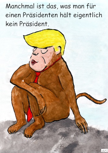 Cartoon: Die Natur des Präsidenten (medium) by Stefan von Emmerich tagged trump,dump,donald,tie,ape,stupid,animal,doofkopf,karikatur,cartoon