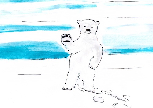 Cartoon: Der Eisbär Brieffreund (medium) by Stefan von Emmerich tagged eisbär