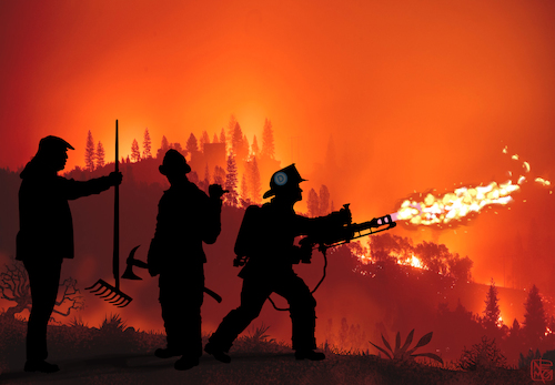 California Fires Management