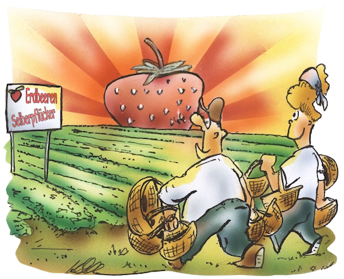 Cartoon: Erdbeersaison (medium) by HSB-Cartoon tagged erdbeeren,erdbeerfeld,erdbeerpflücker,erdbeerverkauf,erdbeeracker,selbstversorger,pflückkorb,sonne,delikat,naturbelassen,ökologisch,erdbeeranbau,pflanzen,agrar,erdbeeren,erdbeerfeld,erdbeerpflücker,erdbeerverkauf,erdbeeracker,selbstversorger,pflückkorb,sonne,delikat,naturbelassen,ökologisch,erdbeeranbau,pflanzen,agrar