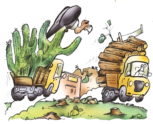 Cartoon: Klimaresistente Anpflanzungen (medium) by HSB-Cartoon tagged klimaresistent,bäume,baum,anpflanzungen,pflanzen,anbaufläche,umwelt,wald,abholzung,waldwirtschaft,brandholz,holzindustrie,bauholz,kaktus,kakteen,sukkulenten,baumkakteen,klimawandel,exoten,waldrodung,umweltzerstörung,gewächse,cartooon,karikatur,landschaftsveränderung,landschaftswandel,wälder,klimaresistent,bäume,baum,anpflanzungen,pflanzen,anbaufläche,umwelt,wald,abholzung,waldwirtschaft,brandholz,holzindustrie,bauholz,kaktus,kakteen,sukkulenten,baumkakteen,klimawandel,exoten,waldrodung,umweltzerstörung,gewächse,cartooon,karikatur,landschaftsveränderung,landschaftswandel,wälder