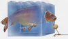Cartoon: carp (small) by HSB-Cartoon tagged carp,fish,illustration,fishing,boilie,airbrush