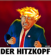 Cartoon: Der Hitzkopf (small) by Cartoonfix tagged trump,flächenbrände,in,usa,2020