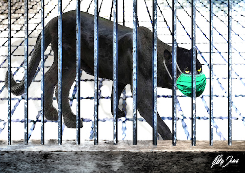 Cartoon: Der Panther (medium) by jakpet tagged corona,ausgangssperre,lockdown,mundschutz