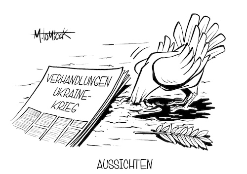Aussichten Aussichten