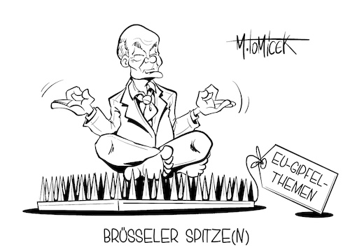 Brüsseler Spitzen Brüsseler Spitzen