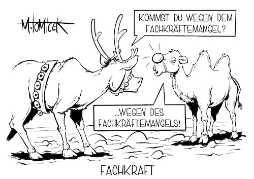 Fachkraft Fachkraft