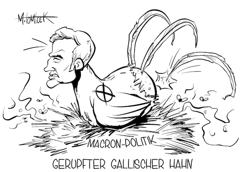 Gerupfter gallischer Hahn Gerupfter gallischer Hahn