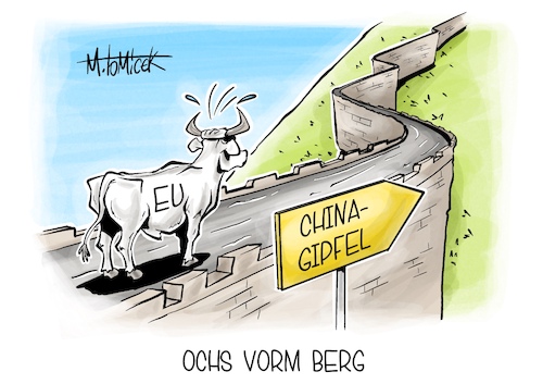 Ochs vorm Berg