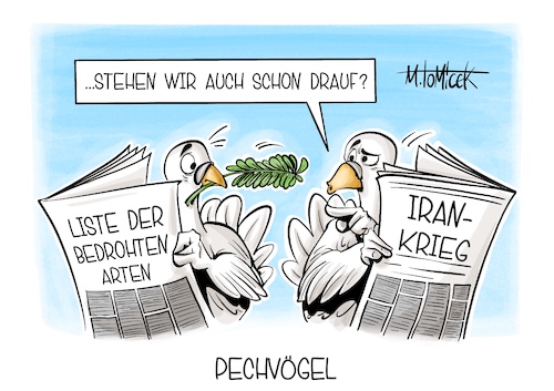 Cartoon: Pechvögel (medium) by Mirco Tomicek tagged libanon,angriffe,waffenruhe,waffen,ruhe,frieden,friedensverhandlungen,verhandlungen,usa,amerika,iran,nahost,krieg,weltnaturschutz,naturschutz,rote,liste,der,bedrohten,arten,tierarten,tiere,friedenstaube,karikatur,cartoon,pressekarikatur,mirco,tomicek,libanon,angriffe,waffenruhe,waffen,ruhe,frieden,friedensverhandlungen,verhandlungen,usa,amerika,iran,nahost,krieg,weltnaturschutz,naturschutz,rote,liste,der,bedrohten,arten,tierarten,tiere,friedenstaube,karikatur,cartoon,pressekarikatur,mirco,tomicek