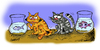 Cartoon: The cats (small) by ismailozmen tagged cat,fish