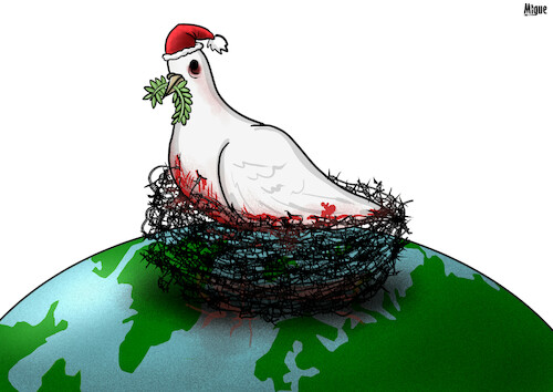 Cartoon: Peace this Christmas (medium) by miguelmorales tagged pigeon,peace,conflicts,christmas,barbed,wire,world,wars,pigeon,peace,conflicts,christmas,barbed,wire,world,wars