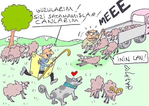 Cartoon: not cut (medium) by yasar kemal turan tagged not,cut