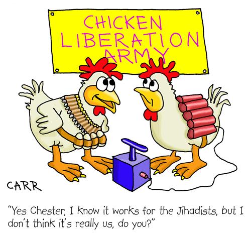 Cartoon: Fundamentalist Chickens (medium) by carrtoons tagged fundamentalism,chickens,suicide,bomber,john,carr,carrtoon