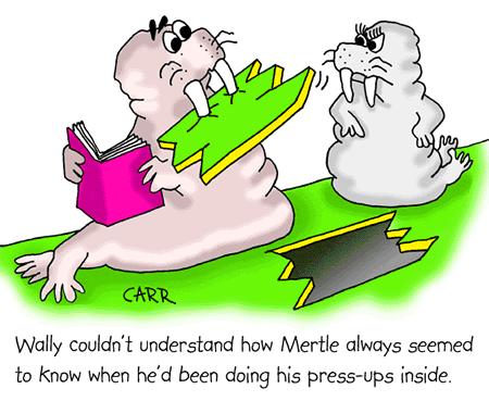 Cartoon: Press-ups (medium) by carrtoons tagged walrus,fitness,exercises,pressups