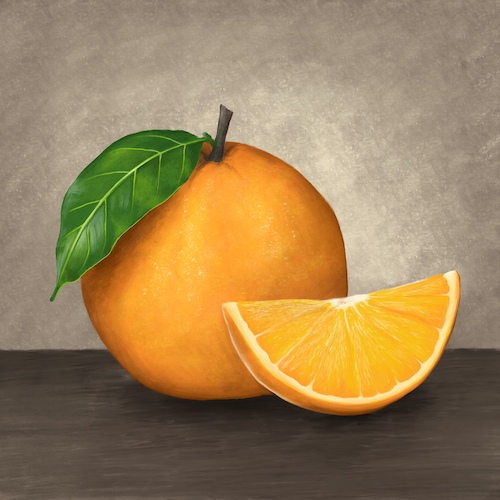 Cartoon: Orange (medium) by alesza tagged orange,fruit,stillife,illustration,procreate,ipadart,painting,digitalart