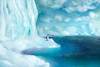 Cartoon: Antarktis (small) by alesza tagged landscape,nature,environment,digital,painting,illustration,art,antarctic,antarktis,ice,white,glacier,iceberg,penguin
