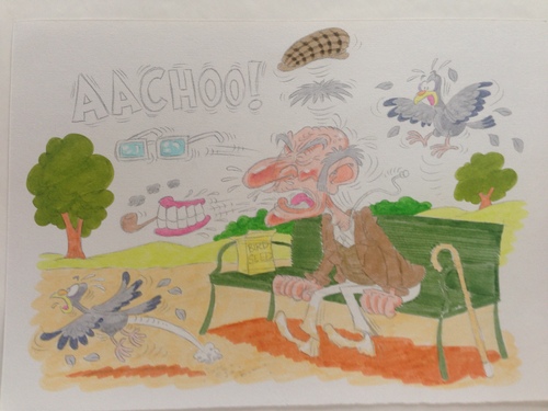 Cartoon: AACHOO! (medium) by fieldtoonz tagged oldman,park,sneeze,pidgeons