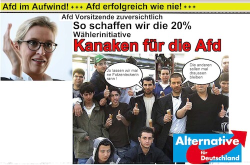 Cartoon: Wahlwerbung (medium) by Leviathan64 tagged afd,wahl