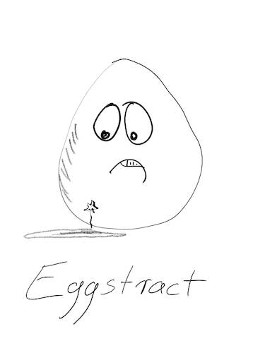 Cartoon: The Egg Series III (medium) by hurvinek tagged eggs