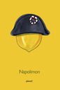 Cartoon: Napolimon (small) by helmutk tagged history
