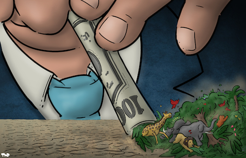 Cartoon: Biodiversity (medium) by Tjeerd Royaards tagged biodiverity,money,greed,montreal,summit,conference,nature,animals,biodiverity,money,greed,montreal,summit,conference,nature,animals